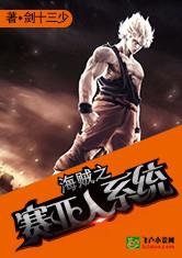 海贼之赛亚人系统